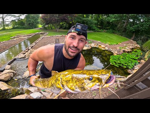 Pranking Bestfriend with GIANT Catfish in Backyard Pond!! (noodling)