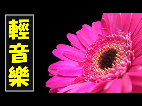 【薩克斯風 睡眠】🎷30首 薩克斯風 輕音樂 放鬆解壓 🌺 夜晚最適合聽的 轻音乐 放松🎵 累了煩了就聽聽 醉人醉心！ 無廣告音樂  Relaxing Chinese Saxaphone Music