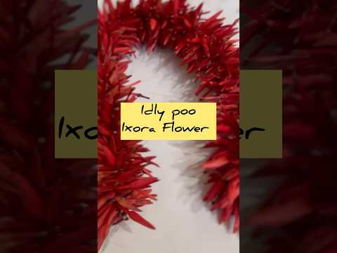 How to string Idly poo /Ixora Flower/Easy /simple #Trending#