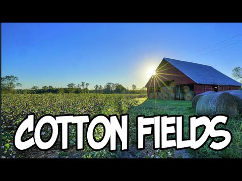 #CottonFields (The Cotton Song) song by Creedence Clearwater Revival, #countrymusic , #RockSongs