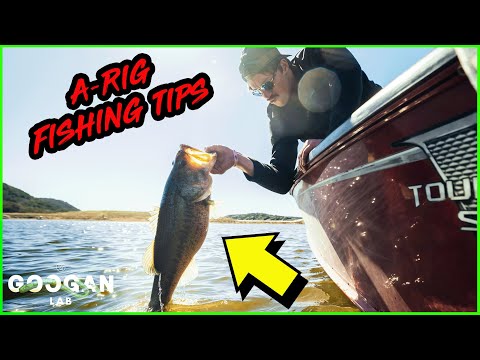 Revealing JON B's SECRET A-RIG Fishing Tips!