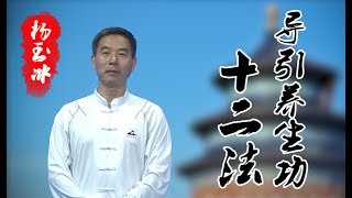 健身气功-导引养生功十二法（杨玉冰）