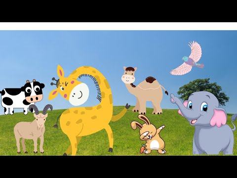 cute herbivorous animals - cow goat horse buffalo elephant - animal sounds