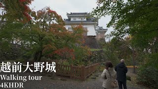 大野城と亀山公園 散策 福井県大野市 4KHDR