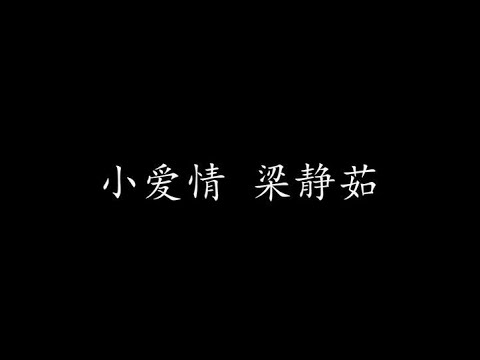 小爱情 梁静茹 (歌词版)