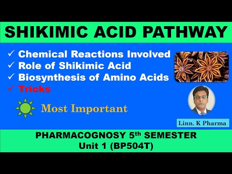 Shikimic Acid Pathway Pharmacognosy 5th Sem || Amino acids biogenesis || shikimic acid pathway