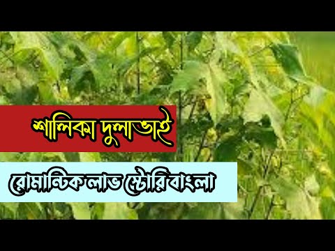 শালিকা দুলাভাই || রোমান্টিক লাভ স্টোরি বাংলা ||Anika Dairy