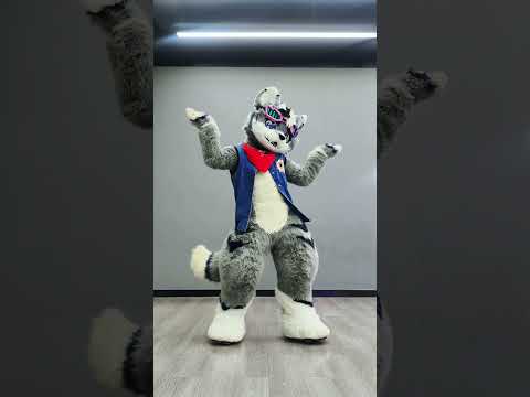 Do the #niconiconi #dance #niconiconii #lovelive #kemono #kemonofurry #kemonofursuit #furrytiktok