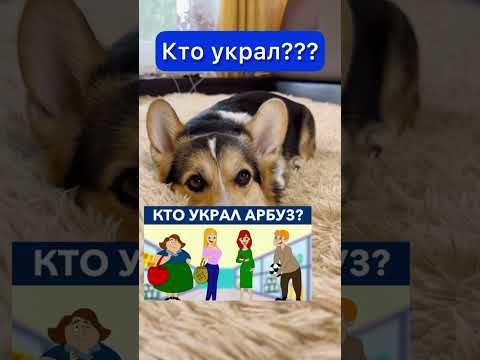 КТО УКРАЛ АРБУЗ?