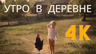 Жизнь в деревне,  красивое доброе утро в 4К