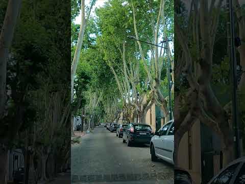 Buenos Aires Argentina - Olivos to San Isidro #shortvideo #shorts #travel #argentina #viajes