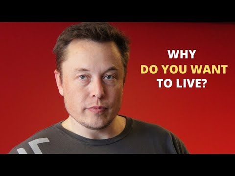 Elon Musk - What's the Meaning of Life?