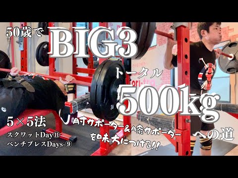 50歳の筋トレはニーラップと肘サポの力を借ります！　5x5セット法　スクワットDay11＆ベンチプレスDay9   ～50歳でBIG3トータル500㎏への道～