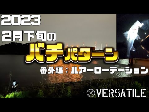 東京湾2月下旬のバチ抜け釣行～なかむらちゃんのルアーローテーション～