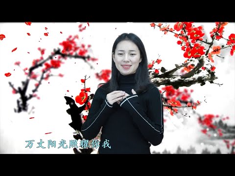 一剪梅 - "美丽的江边小城"主播江蕙 Xue Hua Piao Piao / Yi Jian Mei (A Spray of Plum Blossoms) - Jiang Hui