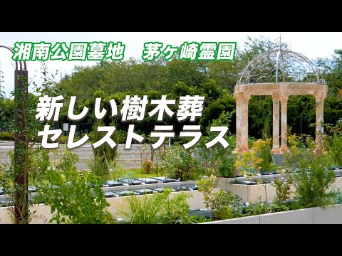 【新しい樹木葬】セレストテラスオープン　湘南公園墓地 茅ヶ崎霊園