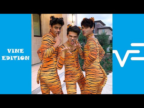 Funny Stokes Twins TikToks | Try Not To Laugh Watching Stokes Twins Videos