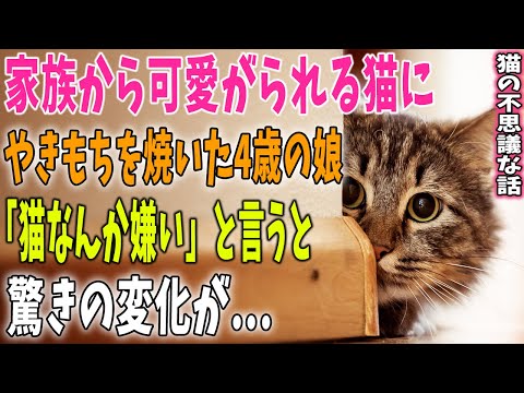 【猫の不思議な話】家族から可愛がられる猫にやきもちを焼いた4歳の娘→娘が「猫なんか嫌い」と言うと、猫に驚きの変化がおとずれて……【朗読】