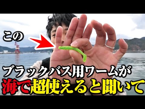 とある人に激推しされた超釣れるというバスワームを海で使ってみた！実際どんなもんなのよ？