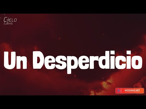 Rels B - Un Desperdicio (Lyrics/Letra)