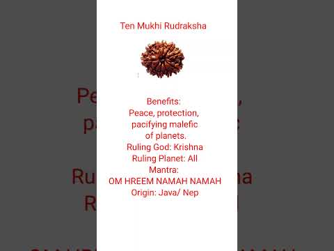 Ten Mukhi Rudraksha #shorts #ytshortsindia #rudraksha