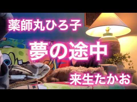 夢の途中　薬師丸ひろ子　来生たかお　セーラー服と機関銃の歌