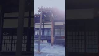 #京都旅行 #vlog