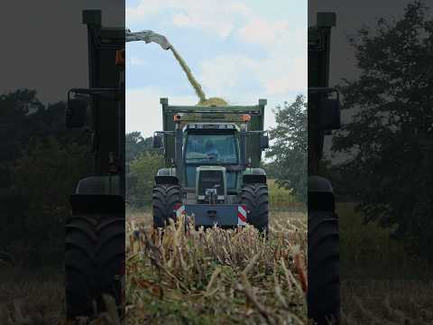 Fendt Legende💚 #legend  #fendt #farming #landwirtschaft #maisernte #mais #krone #fendtvario #viral