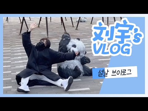 [VLOG] 220223 리우위(刘宇/류위)의 설맞이(春节)