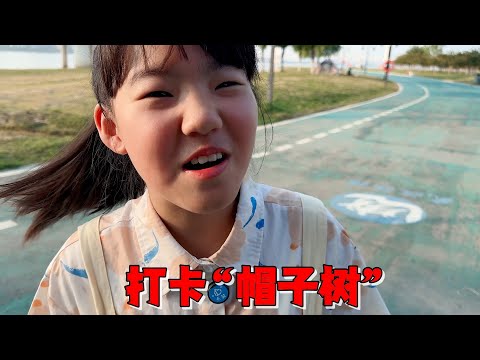 打卡“孤独的树”和“帽子树”，妈妈和艾米不熟走错路，天都黑了