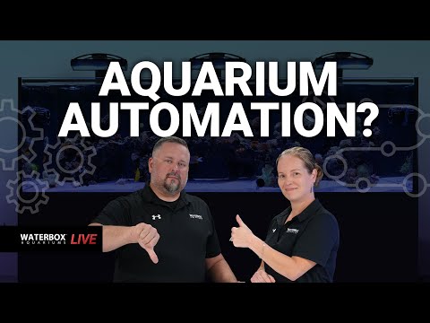 The Hidden Benefits of Automation in Aquariums