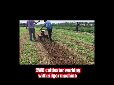 2WD cultivator working with ridger machine