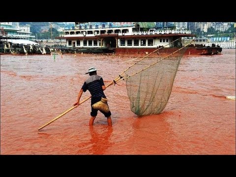 絶対に泳いではいけない世界の水域トップ10