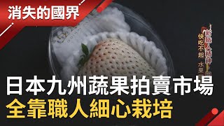 直擊日本九州最大蔬果拍賣市場！九州農作水果散發貴氣 全靠職人細心栽培呵護品質｜【消失的國界】20200201｜三立新聞台