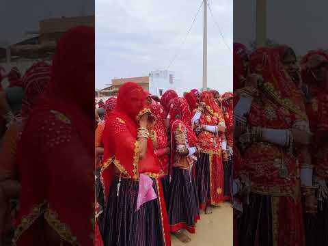 marwadi wedding video/rajasthani status/marwadi WhatsApp status #new#dance #music#dj #viral #shorts