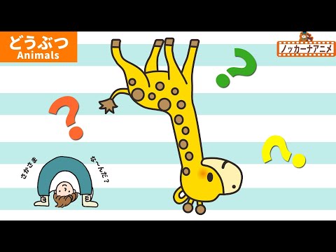 【1歳2歳向け知育】さかさまになっている動物はなーんだ？【赤ちゃん・子供向けアニメ】Animals animation for kids