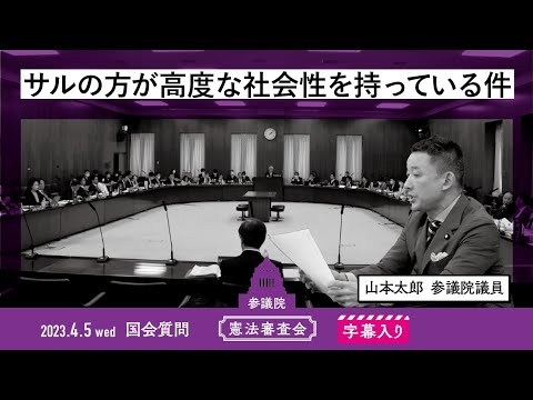 山本太郎【サルの方が高度な社会性を持っている件】 2023.4.5 憲法審査会 字幕入りフル