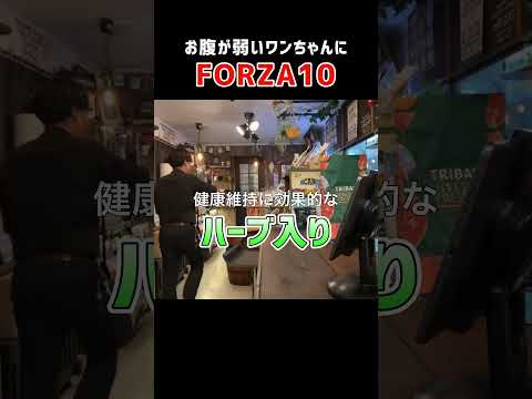 【FORZA10】ハーブ入りの健康ドッグフード！目的別に選べます #腸活 #犬のご飯