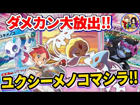 【ポケカ/対戦】2進化も大型たねexも討伐！UMAユキメノコを紹介【ポケモンカード/Tier4チャンネル】