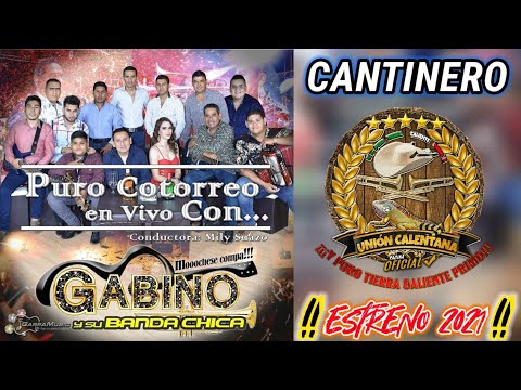 Cantinero / Gabino Y Su Banda Chica / En Vivo Con Mily Suazo 2021