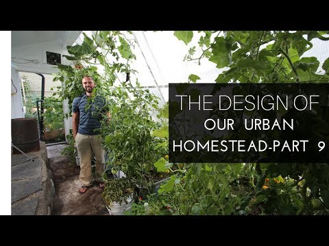 Turning Waste Into Abundance on Our Urban Homestead, Part 9