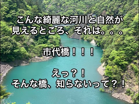 【静岡県】こんあ綺麗な河川と自然が見えるところ、それは。。。市代橋！！えっ？！そんな橋、知らないって？！【shizuoka】