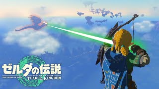 グリオーク射ち落とし【ゼルダの伝説 ティアーズオブザキングダム】