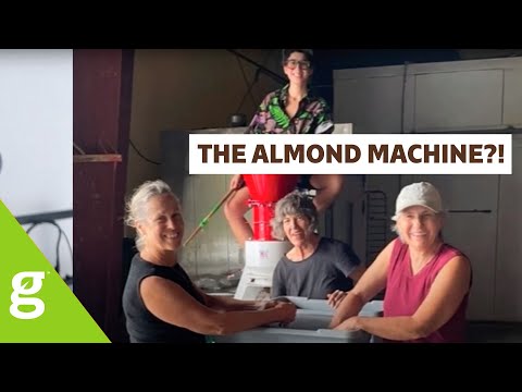 The ALMOND MACHINE is Coming! The story of Almonds, Marjory, and the MACHINE!