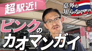 超駅近【ピンクのカオマンガイ】には●●●もあった！