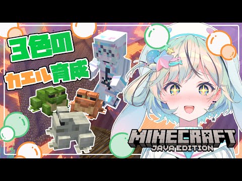 【Minecraft】オタマジャクシを熱帯と寒帯で育てて3色のカエルを手に入れるのだ！【#夏渚まはろ￤#パレプロ研究生】