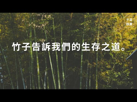 【今夜不讀書#95】人生就像竹子，這個階段度過難點，再迎來下個階段｜千芸說書book review