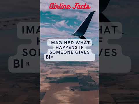 Flight Facts 2 #Travelfacts #FlightFacts #travelvlog #youtubeshorts