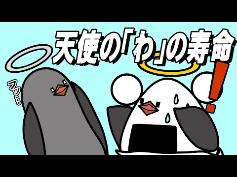 【アニメ】天使の輪の寿命が終わった