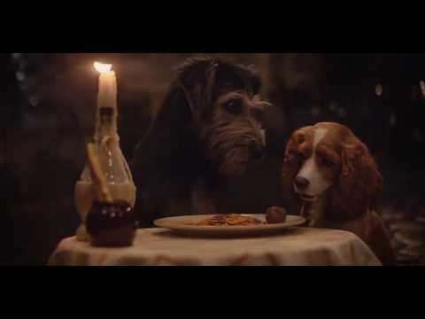 Lady and the Tramp《小姐與流氓》2019 Movie Trailer 電影预告#2 streaming Nov 12 | Disney